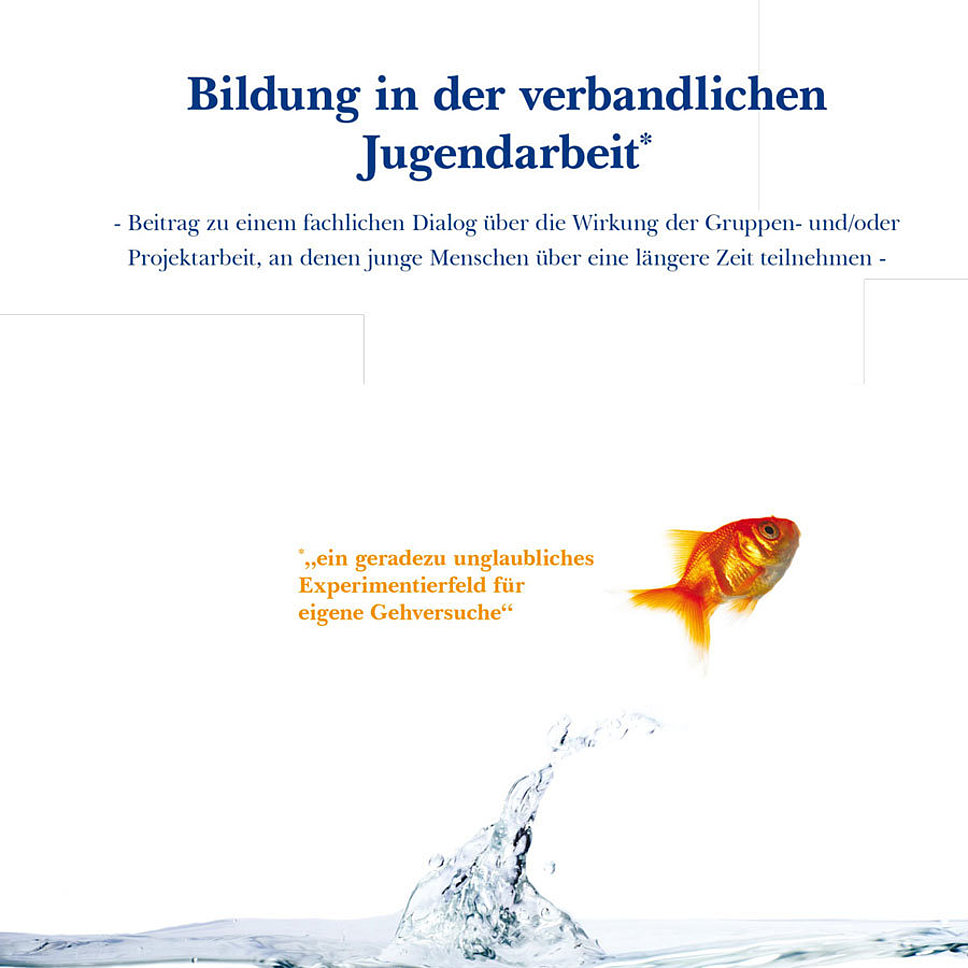 Bildung-in-der-verbandlichen-Jugendarbeit-2011